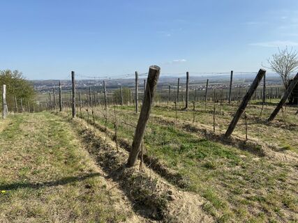 Fotografia z Attila Mihalcz na trase