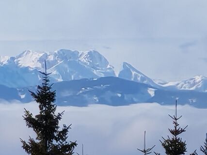 Fotografija s spletne strani v.stein na poti