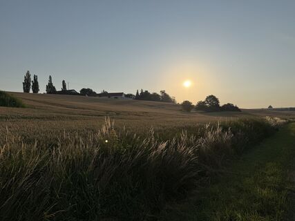 Foto von Schaali entlang der Tour