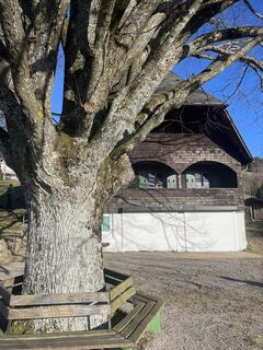 Fotografia z Günter Goldschmidt na trase