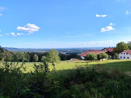 Photo de Bergkater le long du parcours