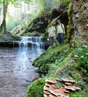 Xanderklinge Calw-Holzbronn Das Naturerlebnis