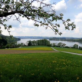Der Blick von Gerbertsham über den Mattsee.