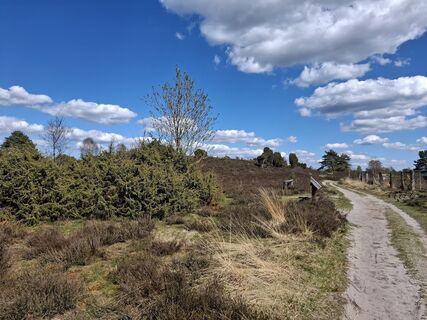 Fotografia z nordbergschnecke na trase