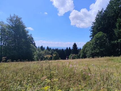 Photo de Bergkater le long du parcours