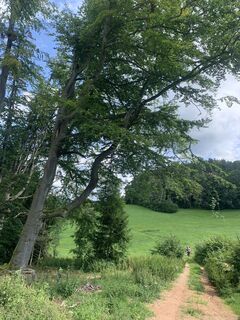 Zdjęcie z Karl 6String wzdłuż trasy