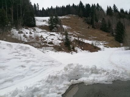 Fotografija s spletne strani luyyy na poti