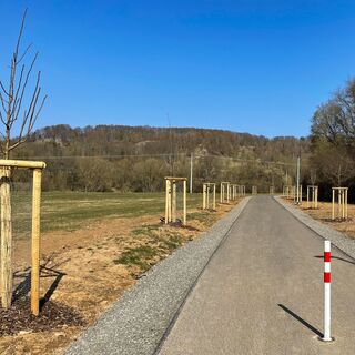 Frühlingsweg Bad Liebenstein - Steinbach