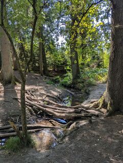 Photo de Matje Derks le long du parcours