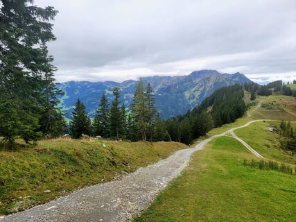 Fotografie z mmecki na trase