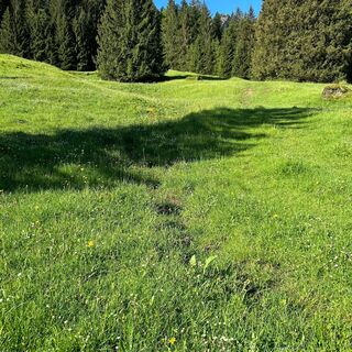 Rundweg Chatzenloch, leichter Anstieg zum Waldrand