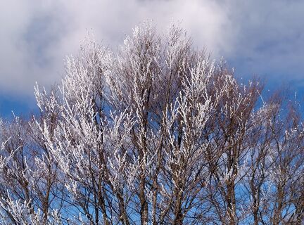 Foto von Chri San entlang der Tour