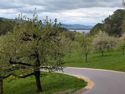 Fotografia z Peter Samhuber na trase