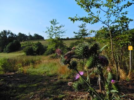 Dobersberg - Karlstein - Raabs a. d. Thaya
