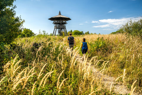 Preußischer Velmerstot-Kreis Lippe-Teutoburger-Wald-Tourismus-D-Ketz-044.jpg