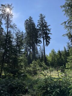 Foto von Andreas Hanek entlang der Tour
