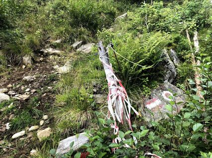 Hier zweigt der Weg zur Roßalm ab