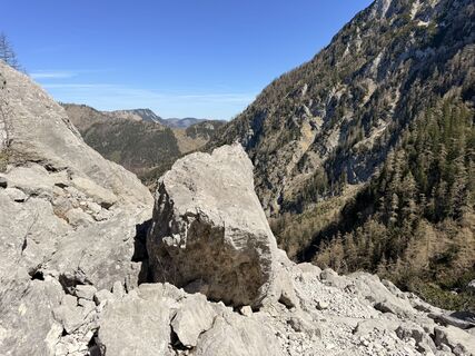 Foto von Natur_erleben_dg entlang der Tour