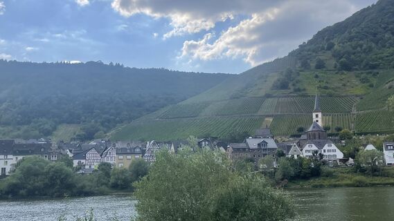 Zdjęcie z Lis Malzach wzdłuż trasy