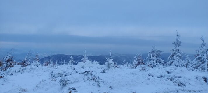 Foto de Sylwiasuchy76 a lo largo del recorrido