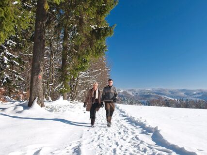 Winterwanderung über das Segelflugplatzgelände.