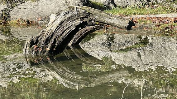 Photo de Gerold Etlinger le long du parcours