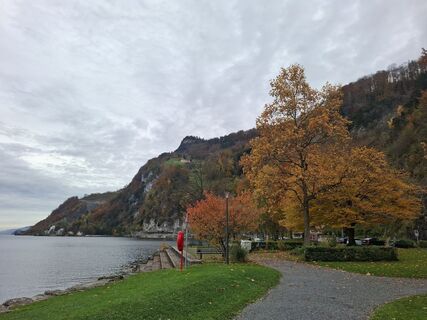 Fotografija s spletne strani Maurer Silvia na poti