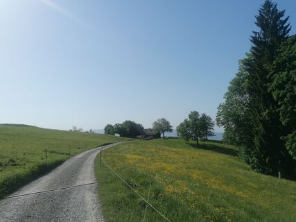 Fotografija s spletne strani Turbinio na poti