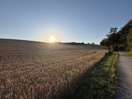 Donauwörth Gehen am morgen bei Sonnenschein