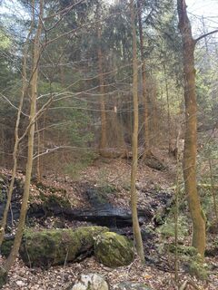 Foto von Steffen Kiesel entlang der Tour