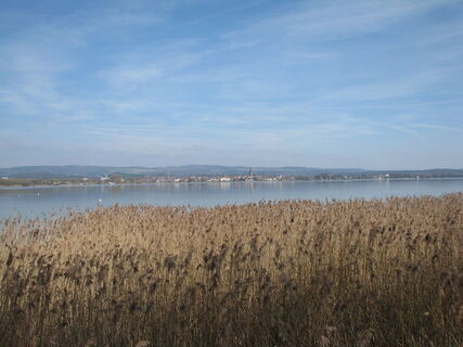 Blick von Moos auf Radolfzell