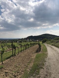 Foto van Maxspeed langs de tour