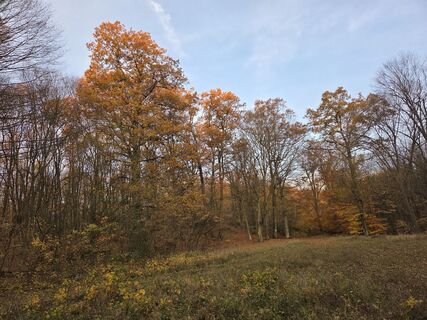 Fotografija s spletne strani János Zsolt Mahr na poti