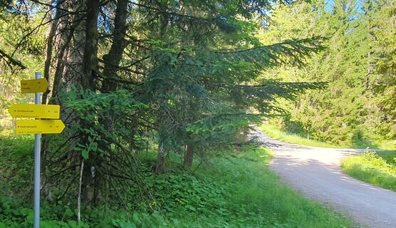 Fotografija s spletne strani mike wm na poti