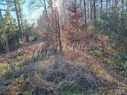 Foto von Mario Schmoltzi entlang der Tour