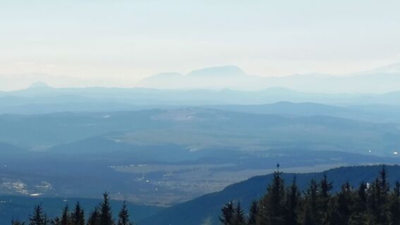 Zdjęcie z István Gábor 1 wzdłuż trasy