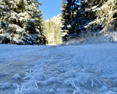Photo de Natur_erleben_dg le long du parcours
