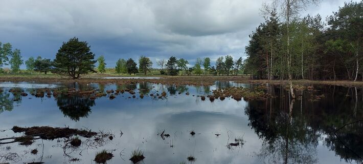 Fotografie z petra kroes na trase
