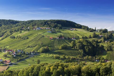 Blick von St. Anna auf die Riede Scheming
