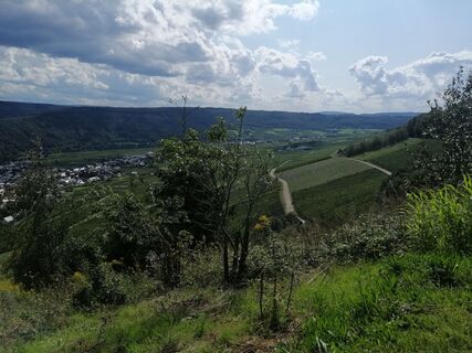 Foto von Eifeleddy entlang der Tour