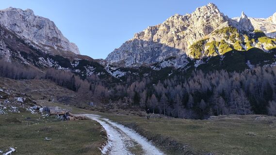 Fotografija s spletne strani Darija Forgač na poti