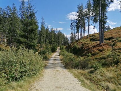 Going_Wandern_Rauher Kopf_Weg Nr9_Wilder Kaiser