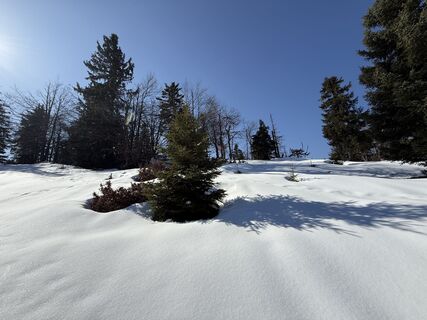 Foto von Natur_erleben_dg entlang der Tour