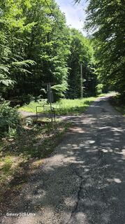 Photo de vándor sólyom le long du parcours