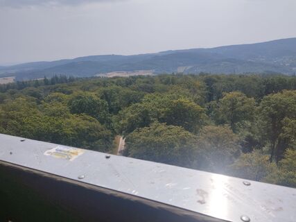 Foto von ElDuderino Dude entlang der Tour