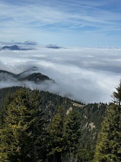 Foto von Katrin Rupprecht entlang der Tour