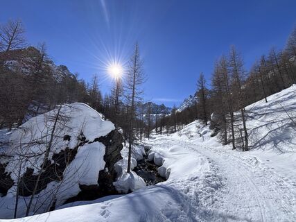 Foto von Shugun entlang der Tour