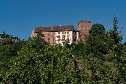 Gamburg