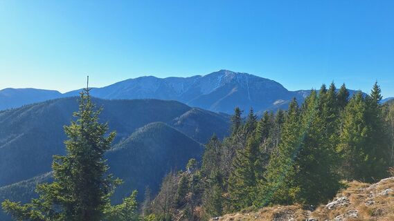 Fotografija s spletne strani Regina Fleischmann na poti