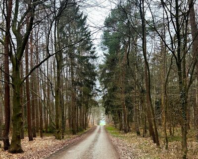 Hamfährer Feld